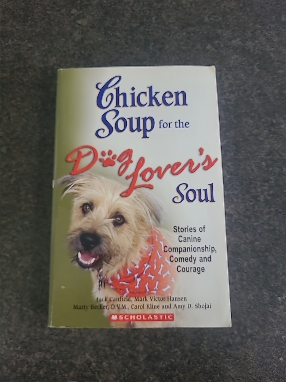 Chicken Soup for the Dog Lover's Soul - Scholastic Edition (Green Cover)